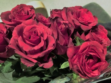 30697795_10155226660561174_2927021182886608896_n